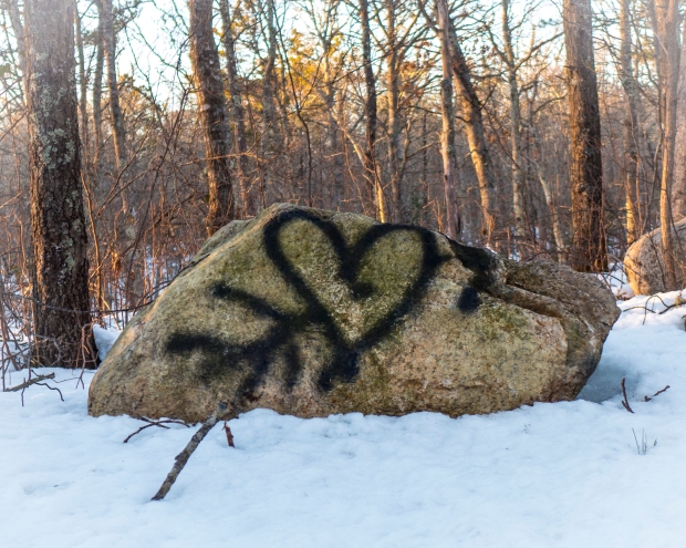 Found in the woods on Valentine's day.